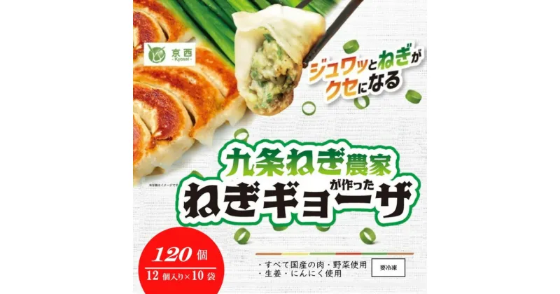 【ふるさと納税】九条ねぎ農家が作ったねぎギョウザ（12個入×10袋） 〈 ぎょうざ 餃子 ギョーザ 九条ねぎ 京野菜 冷凍 冷凍餃子 惣菜 国産豚肉 おかず つまみ 夕飯 晩御飯 手軽 便利 〉　宇治田原町