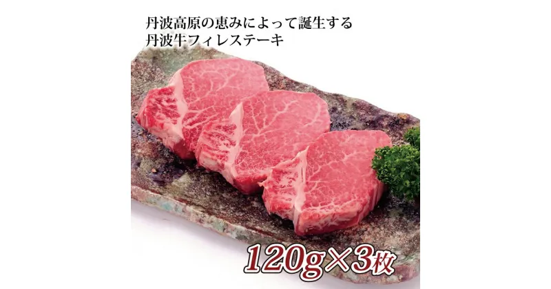 【ふるさと納税】 丹波牛 フィレステーキ 【 国産 和牛 牛肉 丹波牛 ステーキ フィレ 牛 赤身 京都 いづつ屋 】アウトドア