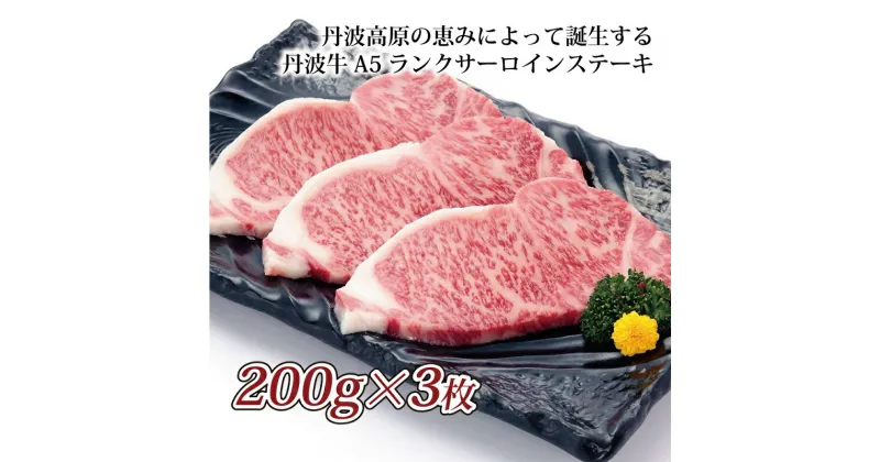 【ふるさと納税】 レビューキャンペーン 丹波牛 A5 ランク サーロインステーキ 【 国産 和牛 牛肉 丹波牛 ステーキ サーロイン 牛 赤身 京都 いづつ屋 】アウトドア