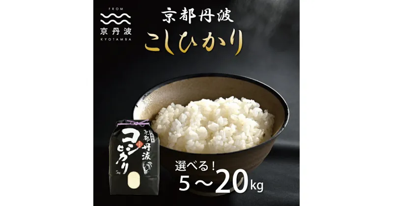 【ふるさと納税】★ レビューキャンペーン 京丹波こしひかり 5kg 10kg 15kg 20kg 令和6年産 新米 京都 精米 コシヒカリ ※北海道・沖縄・その他離島は配送不可