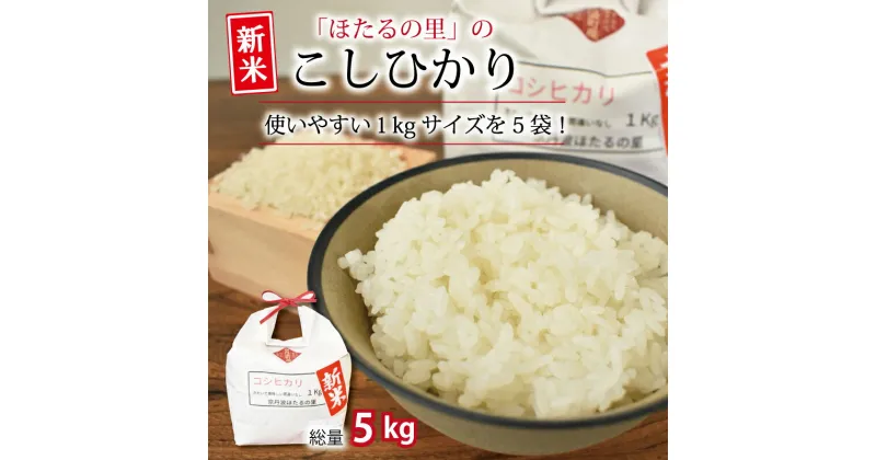 【ふるさと納税】レビューキャンペーン 京丹波ほたるの里のこしひかり 1kg×5袋（総量5kg） 新米 京都 コシヒカリ 精米 特A 小分け お試し ※北海道・沖縄・その他離島は配送不可