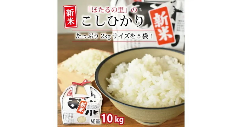 【ふるさと納税】レビューキャンペーン 京丹波ほたるの里のこしひかり 2kg×5袋（総量10kg） 新米 京都 コシヒカリ 精米 特A 小分け お試し ※北海道・沖縄・その他離島は配送不可