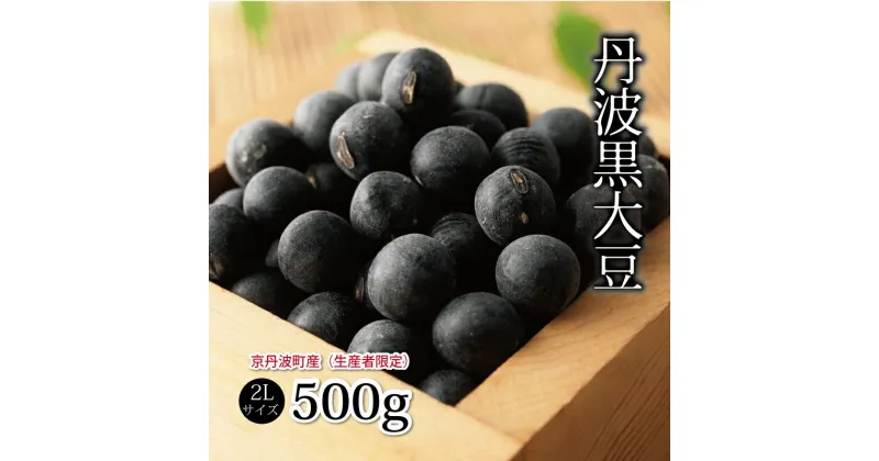 【ふるさと納税】京丹波町産　丹波黒大豆 2L 500g 生産者限定 京都 丹波 黒豆 生豆 新豆 令和5年度産