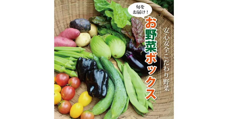 【ふるさと納税】新鮮お野菜ボックス（京都・京丹波町産）≪栽培期間中農薬不使用の安心安全こだわり野菜≫ ※北海道・沖縄は配送不可