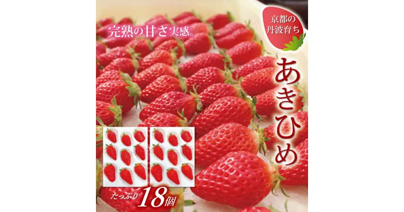 【2025年1月以降発送予定】 京都 丹波高原育ちのいちご あきひめ レギュラー 18個 （9個×2パック） 京丹波町産 完熟 いちご 甘さ抜群 京都誠志郎農園 ※北海道・東北・沖縄・その他離島は配送不可。