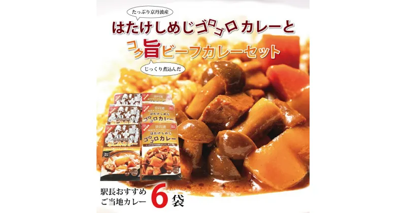 【ふるさと納税】駅長おすすめご当地カレー　はたけしめじゴロゴロカレーとコク旨ビーフカレーセット 新生活応援