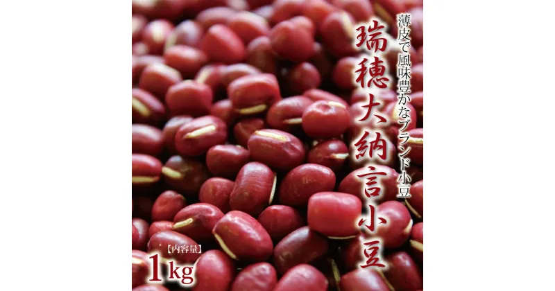 【ふるさと納税】瑞穂大納言小豆 1kg 令和5年度産 【地域限定 ブランド 小豆 あずき あんこ 赤飯 京都 京丹波町産】