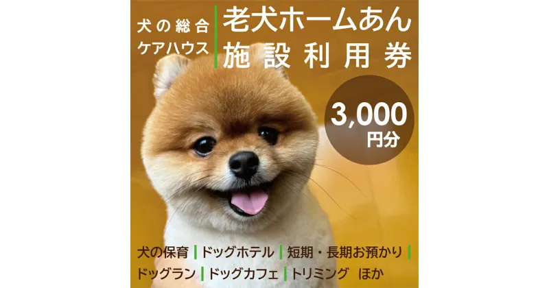 【ふるさと納税】老犬ホーム あん施設利用券（3,000円分） 犬専用総合ケアハウス 愛犬愛護活動