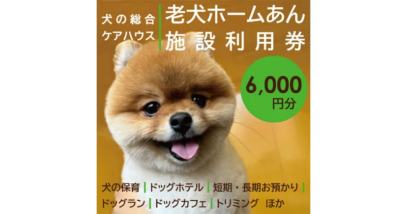 【ふるさと納税】老犬ホーム あん施設利用券（6,000円分） 犬専用総合ケアハウス 愛犬愛護活動