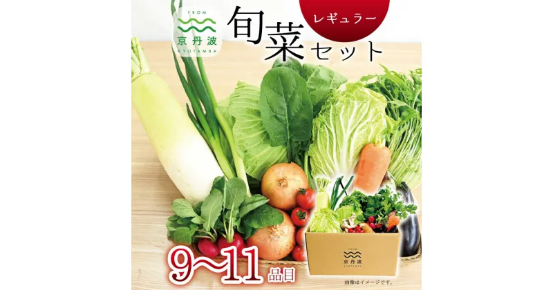 【ふるさと納税】 レビューキャンペーン 京丹波 旬菜セット レギュラー 9～11品目 野菜 詰め合わせ 京都 丹波 京丹波町産 産地直送 京野菜 減塩 レシピ ※北海道・沖縄・その他離島は配送不可