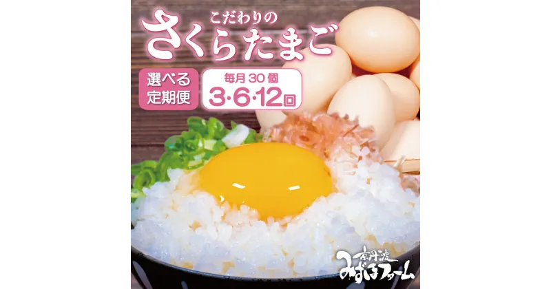 【ふるさと納税】【定期便】 レビューキャンペーン 京都 こだわり卵 さくらたまご 選べる 定期便 3ヶ月 6ヶ月 12ヶ月 3回 6回 12回 3か月 6か月 12か月 ( 卵 たまご 濃い 玉子 30個 セット 玉子焼き 卵焼き 毎月 定期 お届け 卵かけご飯 ゆで卵 鶏卵 卵黄 )