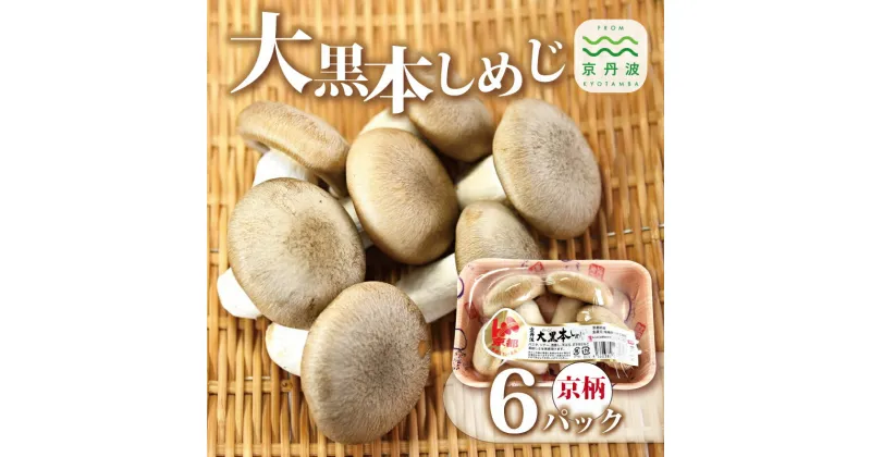 【ふるさと納税】大黒本しめじ京柄 6パックセット （ 国産 京都 きのこ キノコ 丹波 しめじ 食感 シャキシャキ 天ぷら 鍋 炒め物 ） ※北海道・沖縄・その他離島への配送不可