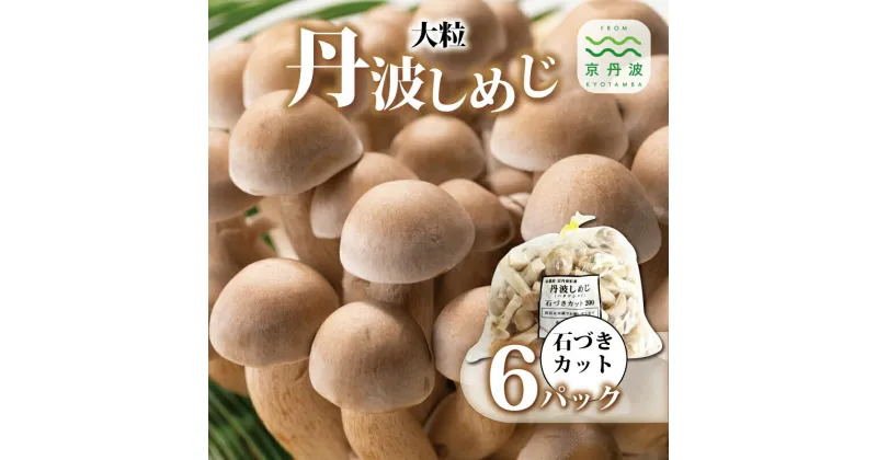 【ふるさと納税】大粒丹波しめじ 石づきカット 6袋セット （ 国産 京都 きのこ キノコ 丹波 しめじ はたけしめじ 大粒 カット 食感 シャキシャキ 天ぷら 鍋 炒め物 ） ※北海道・沖縄・その他離島への配送不可