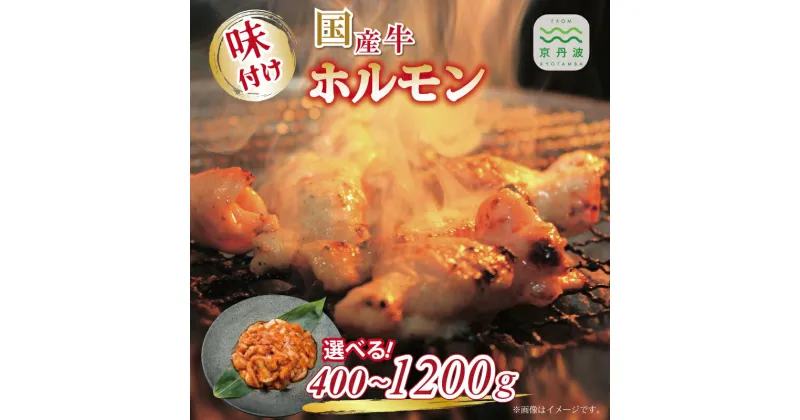 【ふるさと納税】レビューキャンペーン 国産牛ホルモン ホソ 味付け 400g 800g 1200g 選べる 数量 人気商品 国産牛 ホルモン 特製たれ 味付け 焼肉 バーベキュー 京都 丹波 いづつ屋 ※北海道・沖縄・その他離島は配送不可