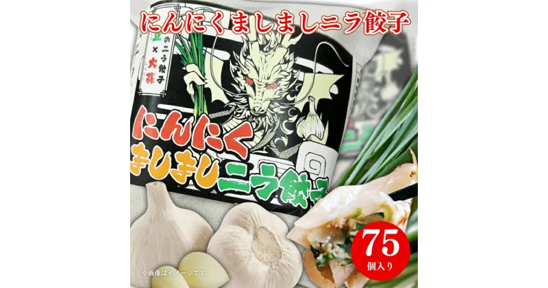 【ふるさと納税】昇龍庵のにんにくマシマシニラ餃子　合計75個　タレ付き　昇龍庵　餃子　ニンニク　ニラ餃子