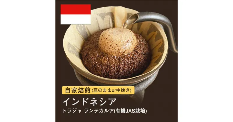 【ふるさと納税】#007 トラジャ ランテカルア コーヒー豆 310g 大山珈琲 ご注文後に丁寧に焙煎します