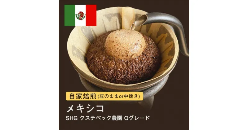 【ふるさと納税】自家焙煎コーヒー！#031 310g メキシコ SHG クステペック農園 Qグレード 珈琲（豆または中挽きから選択）