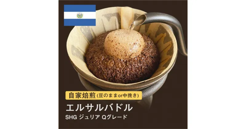 【ふるさと納税】自家焙煎コーヒー！#043 310g エルサルバドルSHG ジュリア Qグレード 珈琲（豆または中挽きから選択）