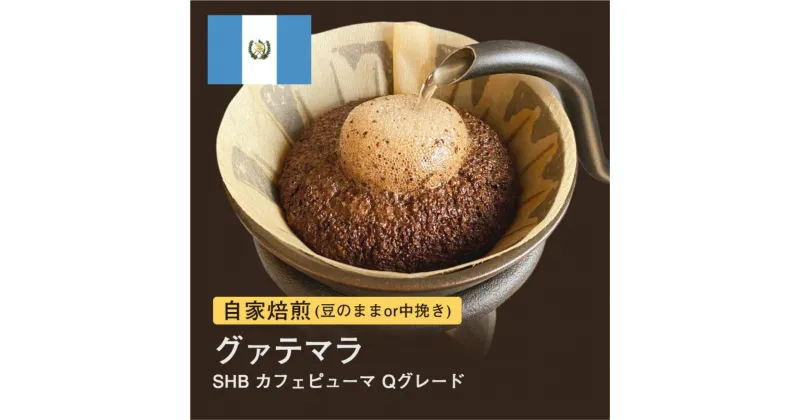 【ふるさと納税】自家焙煎コーヒー！#049 310g グァテマラSHB カフェピューマ Qグレード 珈琲（豆または中挽きから選択）