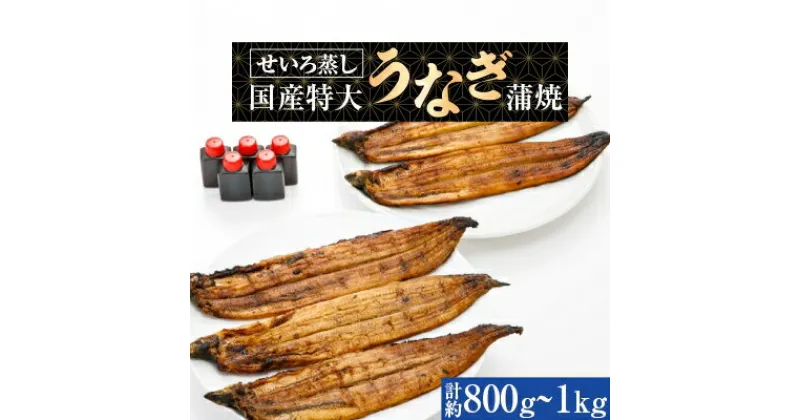 【ふるさと納税】蒸篭(せいろ)蒸し　国産特大うなぎ蒲焼5尾　特製タレ5個【配送不可地域：離島】【1094619】