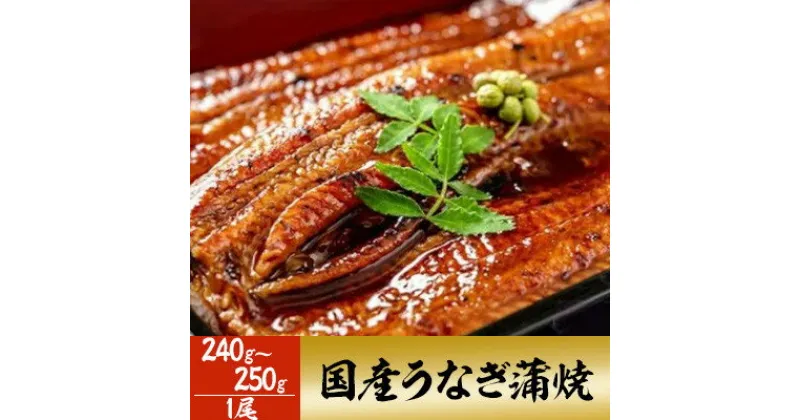 【ふるさと納税】「国産うなぎ蒲焼」1尾(240g～250g)【配送不可地域：離島】【1228634】