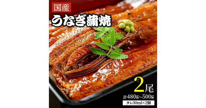 【ふるさと納税】「国産うなぎ蒲焼」2尾(480g～500g)【配送不可地域：離島】【1228652】