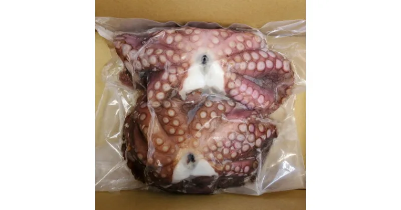 【ふるさと納税】大阪泉州産「泉タコ(生だこ)」1.3kg【配送不可地域：離島】【1235020】