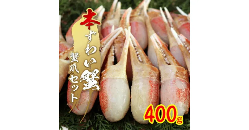 【ふるさと納税】本ずわい蟹 蟹爪セット 400g【配送不可地域：離島】【1247987】