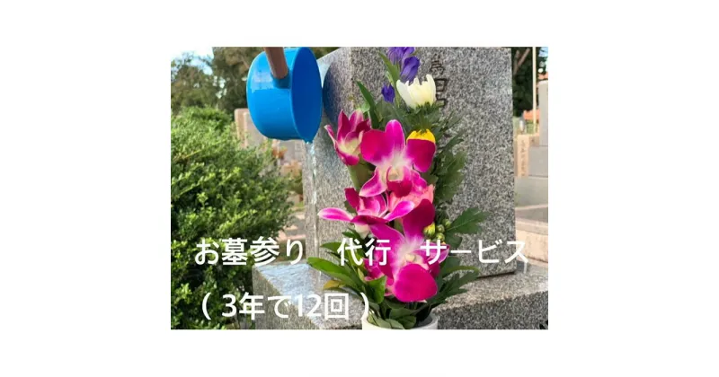 【ふるさと納税】墓参り　代行（お墓のお掃除、お墓の水洗い、草抜き、供花、線香、ろうそく付き）　3年で12回