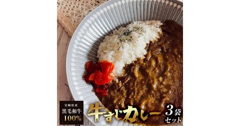 【ふるさと納税】黒毛和牛牛すじカレー