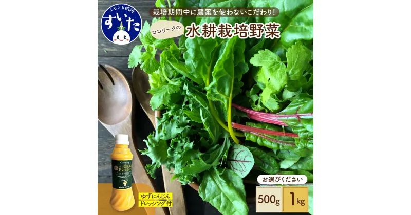 【ふるさと納税】【内容量が選べる】ココワーク の 水耕栽培 野菜 500g 1kg ゆず にんじん ドレッシング 付 農薬不使用 さっと洗うだけ 食べやすい 送料無料 お取り寄せ 大阪府 吹田市