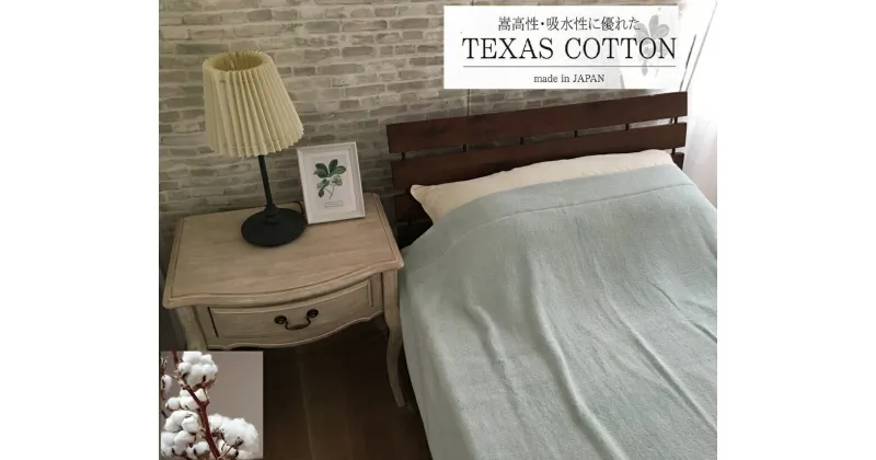 【ふるさと納税】TEXSAS COTTON 100% タオルケット シングル グリーン 1枚 SNT-20TXGR｜綿100% 厚手 毛布 速乾 軽量 快眠 快適 熟睡 睡眠 洗える 洗濯可能 丸洗い可能 [3230]