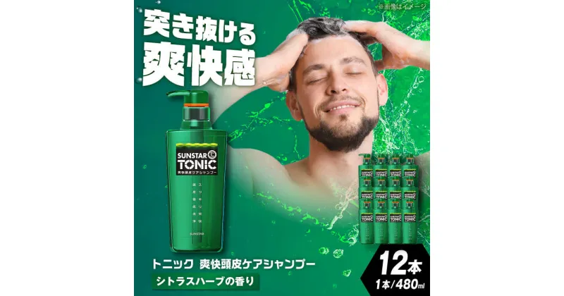 【ふるさと納税】サンスタートニックシャンプー 480ml×12本＜シトラスハーブの香り＞ シャンプー メンズ 男性 大容量 まとめ買い 大阪府高槻市/サンスター[AOAD030]