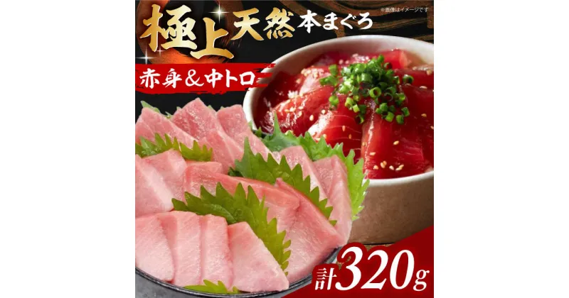 【ふるさと納税】極上！たね熟天然本まぐろ赤身＆中トロセット(320g 各160g)　大阪府高槻市/本まぐろ直売所[AOCE002]