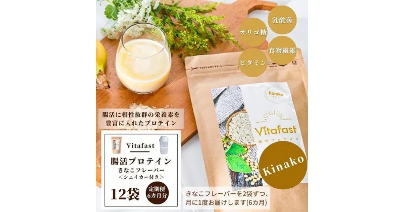 【ふるさと納税】【定期便6ヶ月連続】Vitafast 乳酸菌プロテイン きなこ味 2袋×6ヶ月 計12袋 シェイカー1個付き