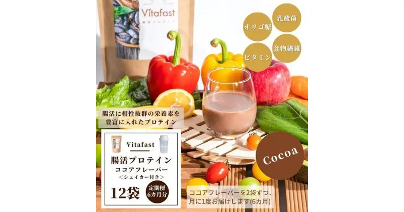 【ふるさと納税】【定期便6ヶ月連続】Vitafast 乳酸菌プロテイン ココア味 2袋×6ヶ月 計12袋 シェイカー1個付き