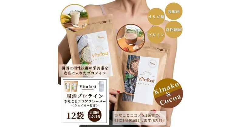 【ふるさと納税】【定期便6ヶ月連続】Vitafast 乳酸菌プロテイン きなこ&ココア味 各1袋×6ヶ月 計12袋 シェイカー1個付き