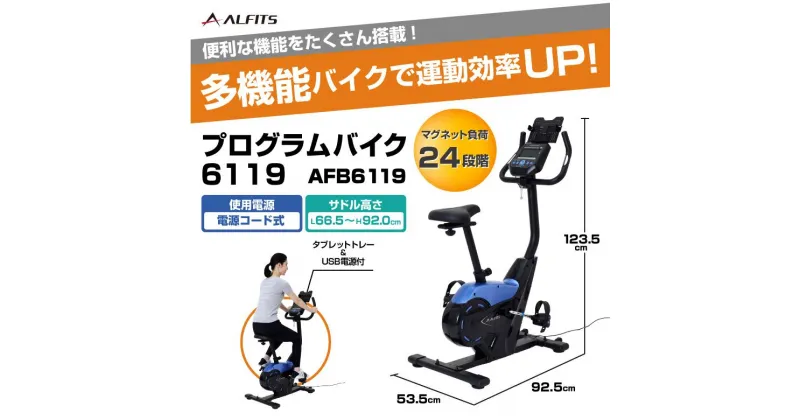 【ふるさと納税】プログラムバイク6119/AFB6119 健康 運動 ダイエット 家庭用 フィットネスバイク 大阪府高槻市/アルインコ[AOAB049]