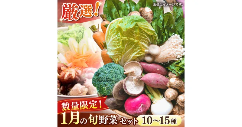 【ふるさと納税】【数量限定】厳選！旬を味わう高槻野菜おまかせ詰め合わせセット 1月（10種〜15種）　大阪府高槻市/高槻あぐり[AOCS007]