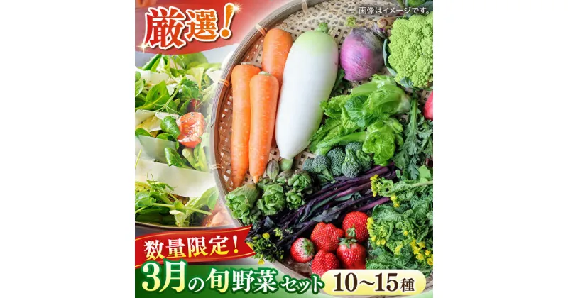 【ふるさと納税】【数量限定】厳選！旬を味わう高槻野菜おまかせ詰め合わせセット 3月（10種〜15種）　大阪府高槻市/高槻あぐり[AOCS009]