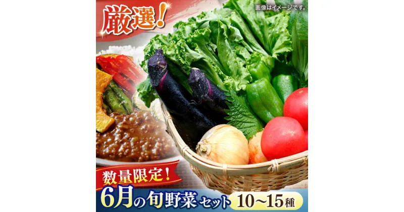 【ふるさと納税】【数量限定】厳選！旬を味わう高槻野菜おまかせ詰め合わせセット 6月（10種〜15種）　大阪府高槻市/高槻あぐり[AOCS012]