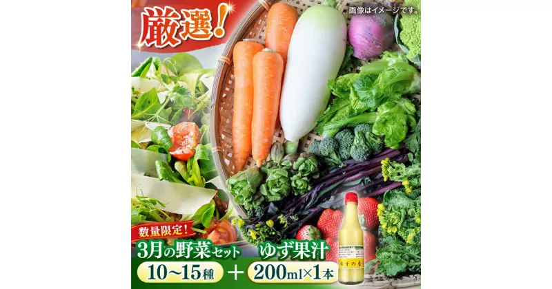 【ふるさと納税】【数量限定】厳選！旬を味わう高槻野菜詰め合わせ 3月（10〜15種）＆農家さん自家製ゆず果汁 200ml×1本セット　大阪府高槻市/高槻あぐり[AOCS005]