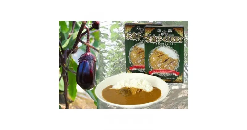 【ふるさと納税】水茄子カレー10個セット