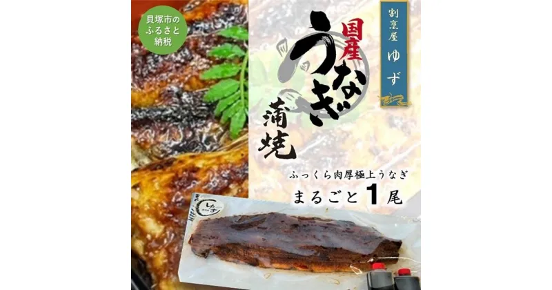 【ふるさと納税】老舗料理屋がお届けする「紀州備長炭で焼き上げた国産鰻蒲焼」長焼き1尾 | うなぎ 鰻 ウナギ 蒲焼 蒲焼き 長焼き 手焼き 関西風 国産 お取り寄せ 料亭の味