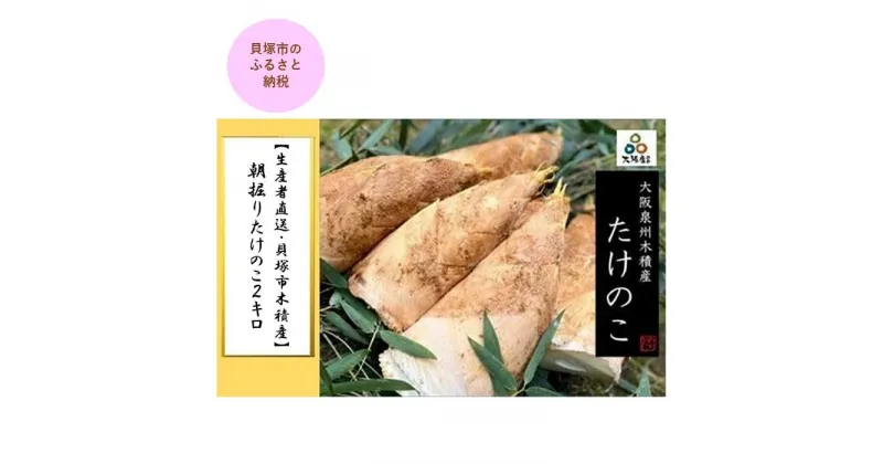 【ふるさと納税】＜先行予約＞【生産者直送・貝塚市木積産】朝掘りたけのこ2kg