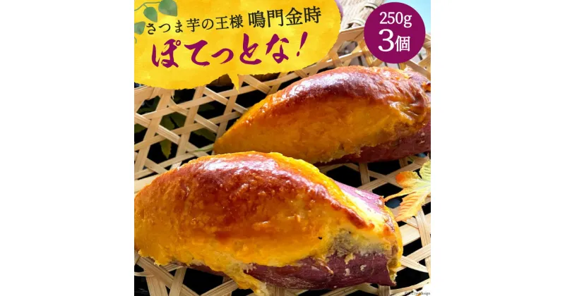 【ふるさと納税】 [和菓子屋がスイートポテト焼いちゃいました] ぽてっとな！250g×3個 [御菓子司つくし 大阪府 守口市] [0835]