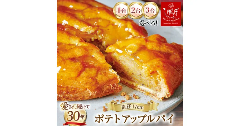 【ふるさと納税】 ポテトアップルパイ (直径17cm) 冷凍 [らぽっぽファーム 大阪府 守口市]｜アップルパイ スイーツ お菓子 おやつ りんご リンゴ 林檎 さつまいも 芋 サツマイモ [1012r-2092]