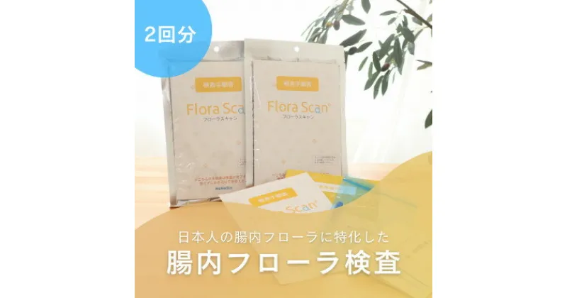 【ふるさと納税】【2回受検セット】腸内フローラ検査サービス「Flora Scan(R)」【1302437】