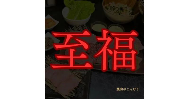 【ふるさと納税】【枚方市　焼肉のこんげり】こんげり特選焼肉フルコースペアチケット【1497030】