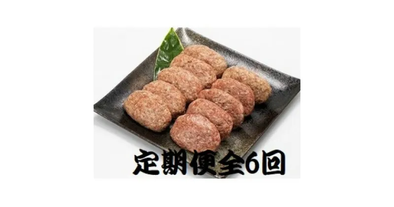 【ふるさと納税】【2ヵ月毎定期便】特選和牛(焼肉薩摩の完熟平野幸一之牛)ハンバーグ10個全6回【配送不可地域：離島】【4050394】